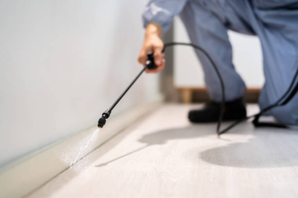 Licensed Pest Control service in Long Hill, CT - Show Me Pest Control