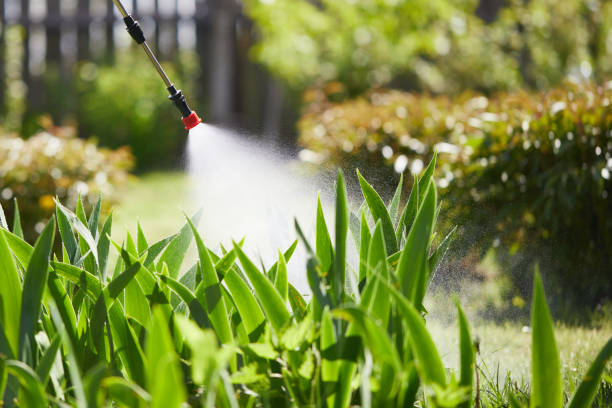 Tamper-Resistant Bait Stations for Rodents in Long Hill