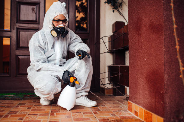 Attic and Crawl Space Rodent Treatment in Long Hill