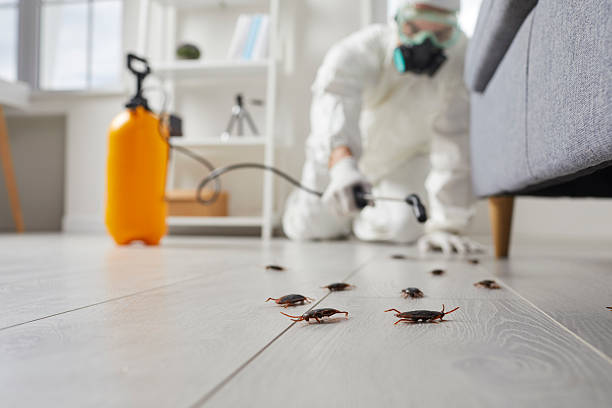 Commercial Rodent Management in Long Hill